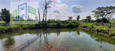 Tanah Sawah Dan Kolam Ikan Di Sawit Boyolali