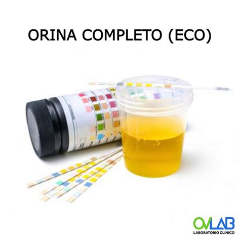 ORINA COMPLETO ECO OVLAB O V Laboratorios