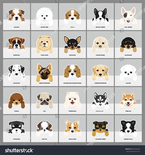 Dog Breeds Puppies | atelier-yuwa.ciao.jp