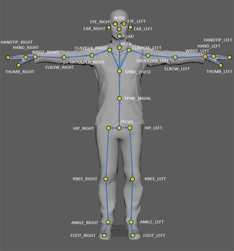 Azure Kinect Body Tracking Joints Microsoft Learn