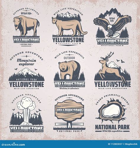 Vintage Colored National Park Emblems Set Stock Vector Illustration