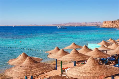 Last Minute A Sharm El Sheikh La Guida Completa