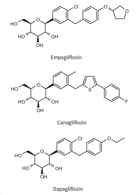 Sglt Inhibitors Structure