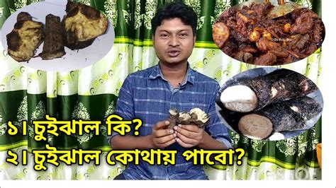 cijhal ki cuijhal kothaz paooza zaz chuui jhal khulna biswas bd
