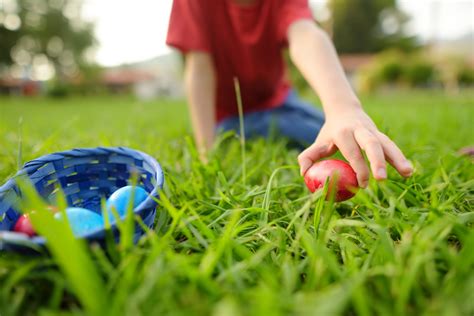 Easter Egg Hunts And Meet The Easter Bunny Events In Northeast Ohio