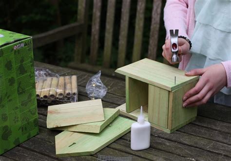 Je Eigen Insectenhotel Of Vogelhuisje Maken Vogelhuisjes Kopen