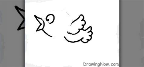 How to Draw a cute, blue cartoon bird « Drawing & Illustration ...