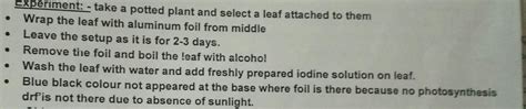 In An Experiment To Show That Sunlight Is Necessary For Photosynthesis