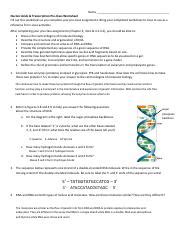 Understanding Nucleic Acids Transcription Structure Course Hero