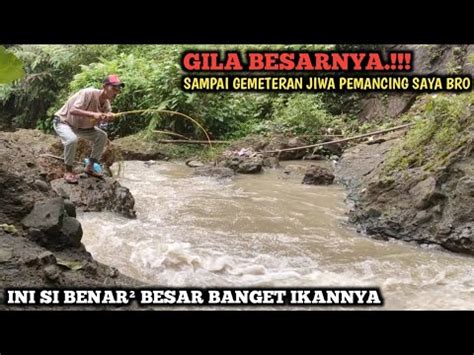 YA AMPUN DI KIRA IKAN SIDAT MONSTER MANCING SEHABIS HUJAN ANGIN