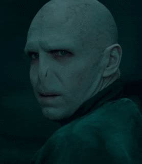 Voldemort Wiki Harry Potter Español Amino