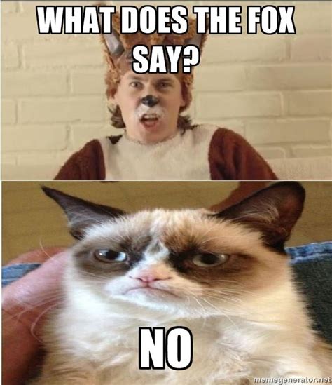 Grumpy Fox Grumpy Cat Meme Fox Memes Grumpy Cat Hot Sex Picture