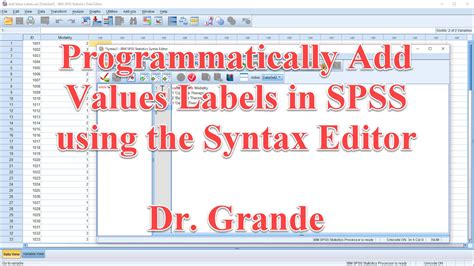 Programmatically Add Value Labels In SPSS With The SPSS Syntax Editor