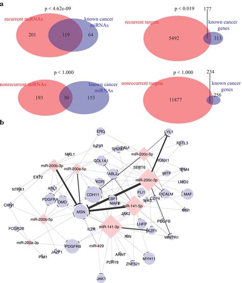 Recurrent Mirna Target Network Are Enriched For Oncomir And Oncogenes