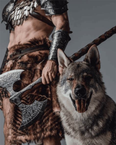 Over 200 Badass Viking Dog Names for Your Fierce Companion - Rebarkable