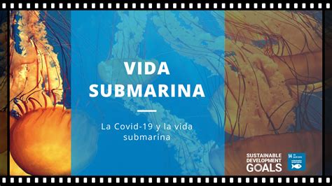 ODS 14 VIDA SUBMARINA