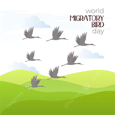 Migratory Birds Vector Art Png Flying Migratory Birds Migrate The