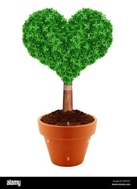 small green tree stock photo alamy