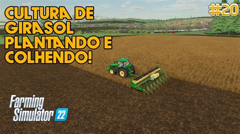 PLANTANDO E COLHENDO GIRASOL Vendendo Sorgo Vendi Minhas Vacas