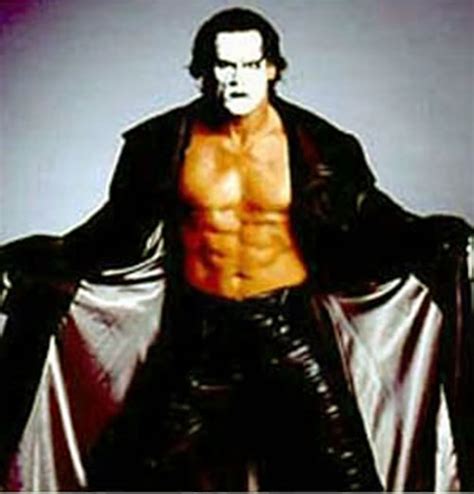 Sting - Wrestler - Fantasy Profile - Character profile - Writeups.org