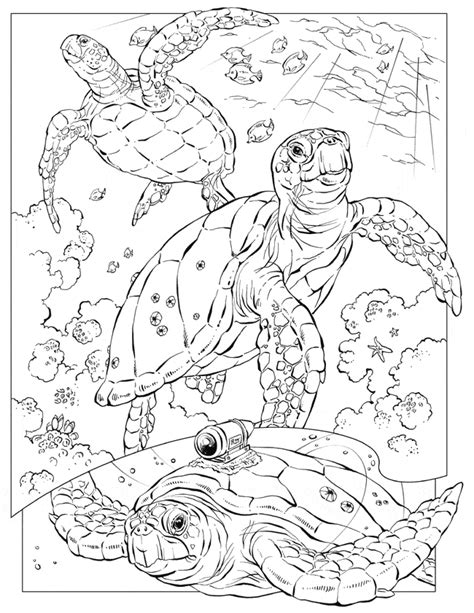 Leatherback Sea Turtle Coloring Page Animals Town Animals Color