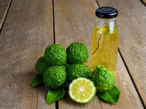 Bergamot Oil At Rs 2000 Kg Gwalior Id 2850161031162