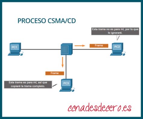 Topologías De Red Lan Y Wan Ccna Desde Cero