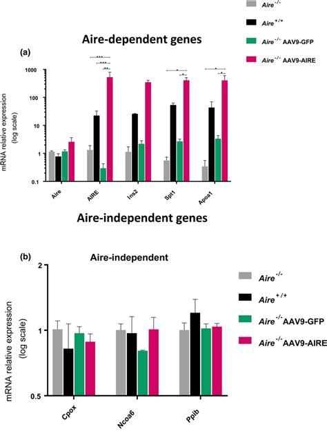 Airedependent And Aireindependent Tissuespecific Antigen TSA