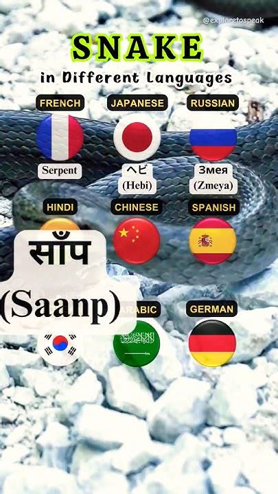 Snake In Different Languages