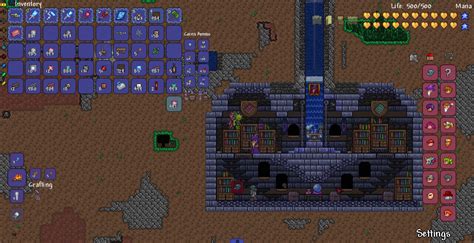 Why Wont My Wizard Stay In This House Terraria