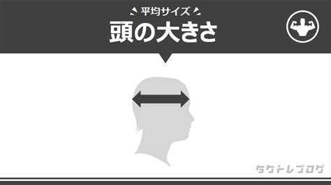 頭の大きさ頭囲の平均は？性別年代別の大きい～小さいの9段階目安も タクトレブログ