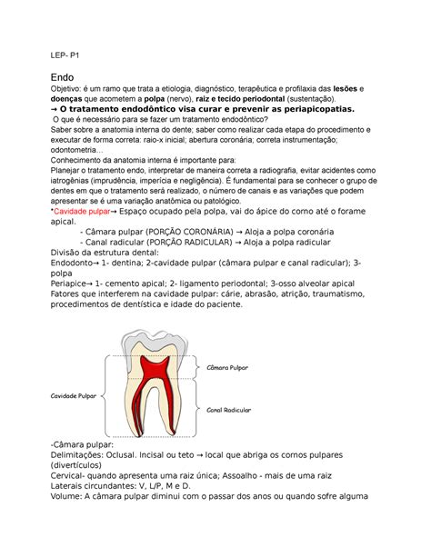 Resumo De Endo P Endo Objetivo Um Ramo Que Trata A Etiologia E