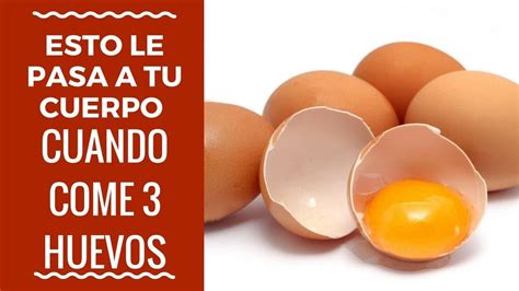 ¿qué Sucede Con Su Cuerpo Cuando Usted Come 3 Huevos Por Dia