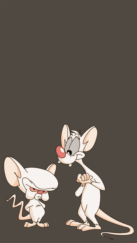 Pinky And The Brain Wallpaper 64 Images