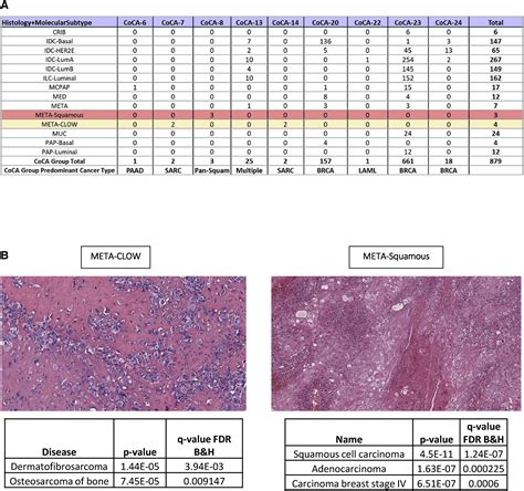 Molecular Analysis Of Tcga Breast Cancer Histologic Types Cell Genomics