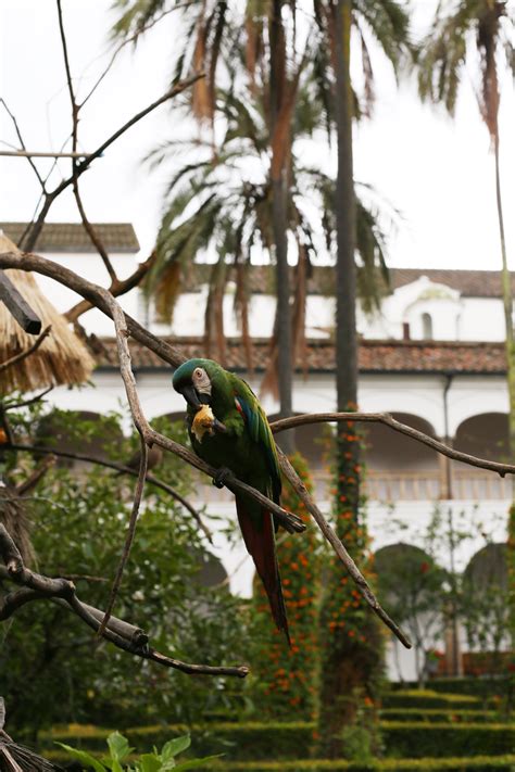 WHY YOU SHOULD VISIT QUITO, ECUADOR IN 2022?