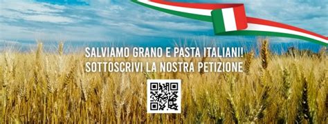 Salviamo Il Grano Italiano Al Via La Petizione Promossa Da Cia