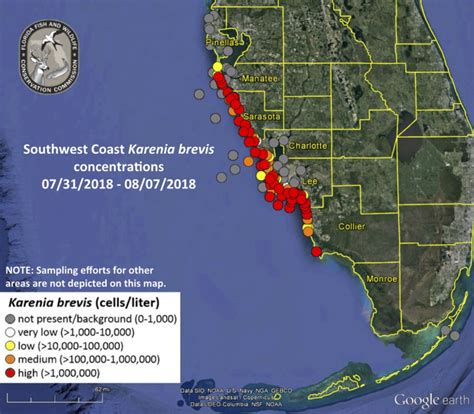 Florida Red Tide Map 2024 - Gilly Stormy