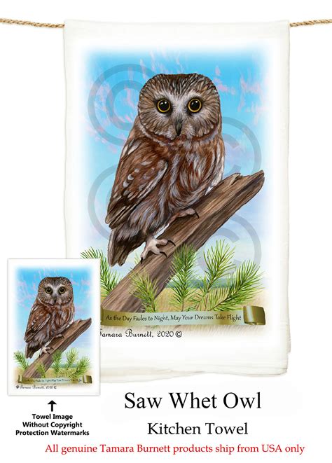 Northern Saw Whet Owl Tattoo