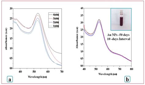 Uv Vis Spectra For A Formation Of Au Nps And B Stability Of The Nps