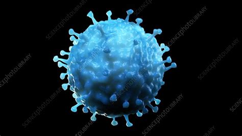 Pneumovirus Stock Video Clip K0082054 Science Photo Library