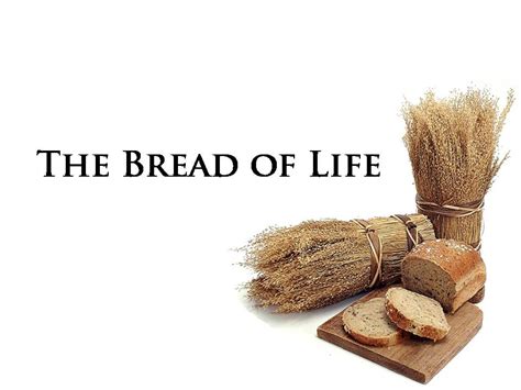 Bread of Life | Alive Ministries