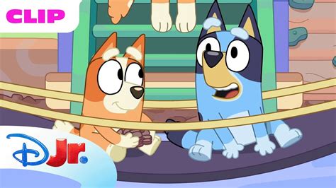 Bluey Season 1 Pirates Episode Clip Disneyjr X