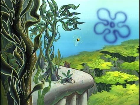 Kelp Forest Club Spongebob Wiki Fandom