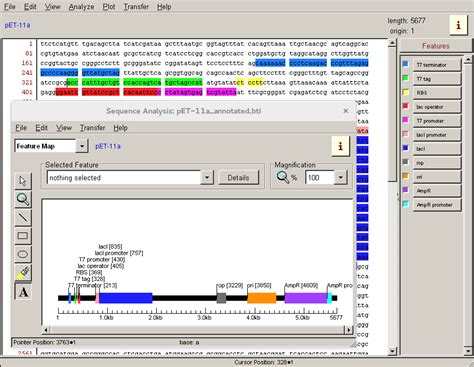 Convert Genetool Files To Snapgene Dna Format Snapgene