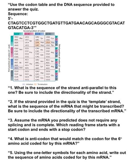 Dna Codon Table Cabinets Matttroy