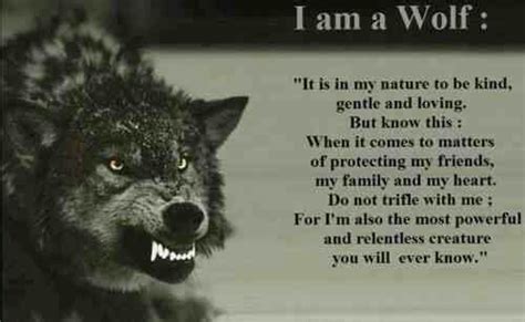 Funny Quotes With Wolves. QuotesGram