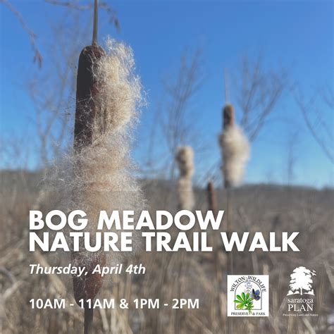 Guided Walk Bog Meadow Brook Nature Trail Saratoga Plan