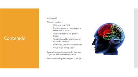 Tema Adultez Neuro Edu Ppt