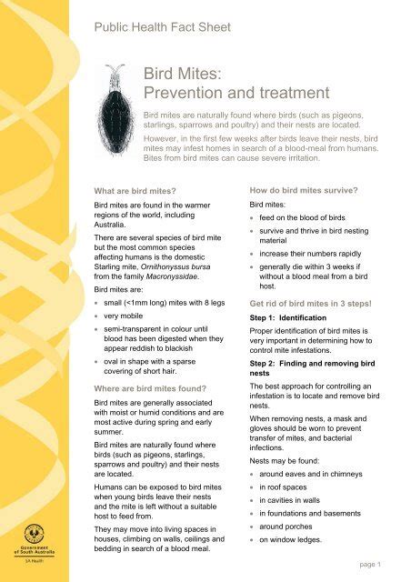 Bird Mites: Prevention and treatment - SA Health - SA.Gov.au